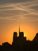 Most People Only Exist (Paris)