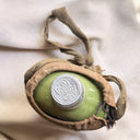 1900s–1920s Japanese Sakebin, Celadon-Glazed Flask in Hemp Sling, Nanaga City
