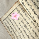 Antique Japanese Hand-Painted Shunga Book, 19th C. Erotic Manuscript (Enpon)