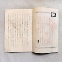 ntique Japanese Shunga Book, "Notes on Black Hair", Taishō–Shōwa Era 1910-30s