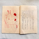 1900-1920s Japanese Shunga Book, "Tokyo Rain", Meiji–Taishō Ukiyo-e Erotica